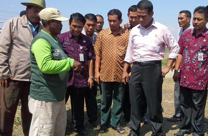 Kementan Tak Keluarkan Izin Impor Beras Konsumsi